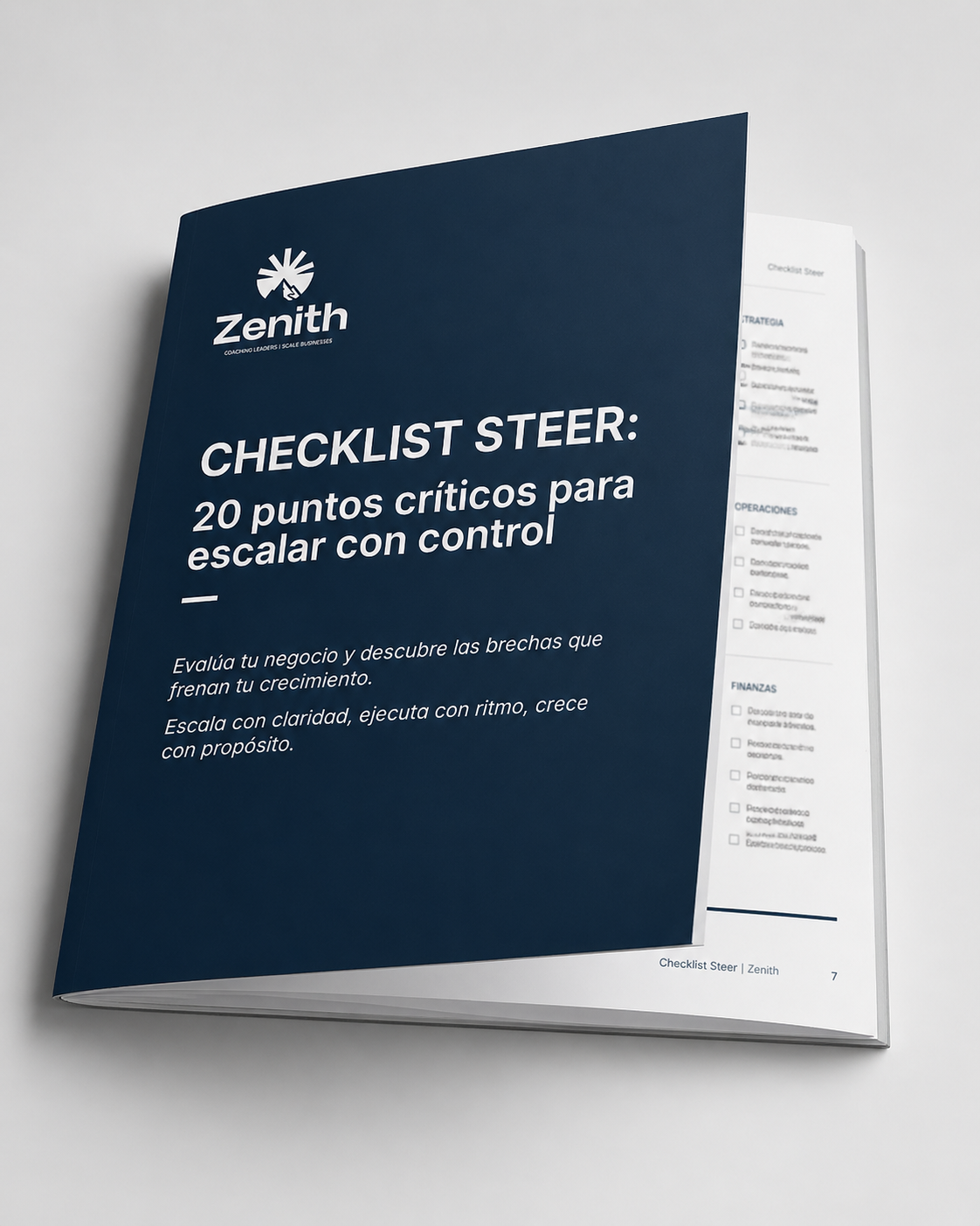 Checklist STEER - 20 puntos críticos para escalar con control