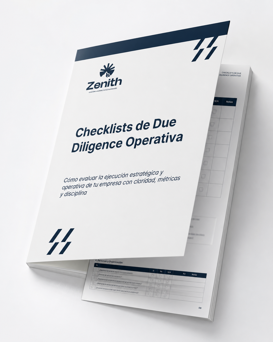 Checklist STEER - 20 puntos críticos para escalar con control